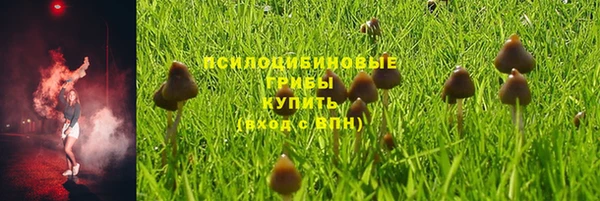 мяу мяу мука Абинск