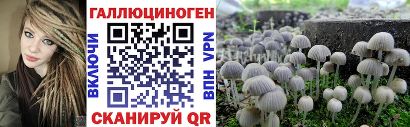 Псилоцибиновые грибы мухоморы закладки Партизанск